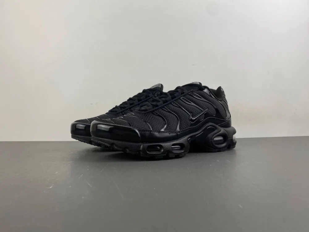 Nike Air Max Plus TN “Triple Black” — photo 1 of 18
