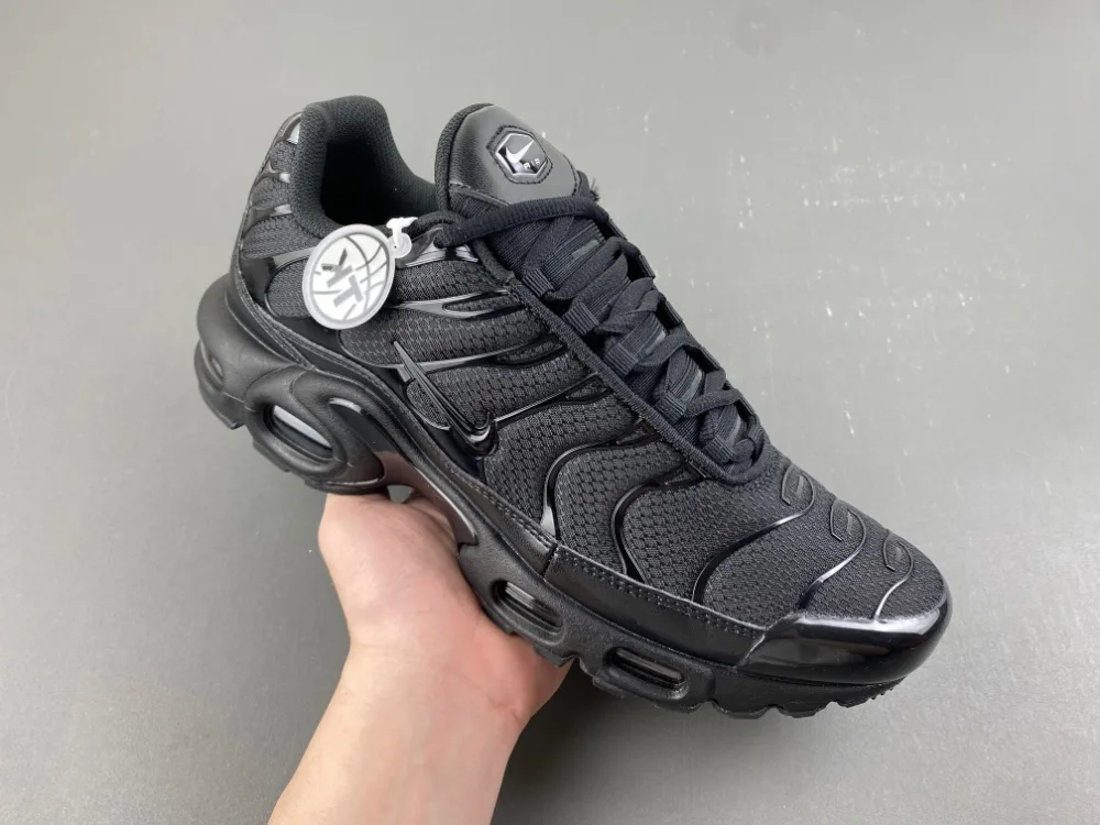 Nike Air Max Plus TN “Triple Black” — photo 3 of 18