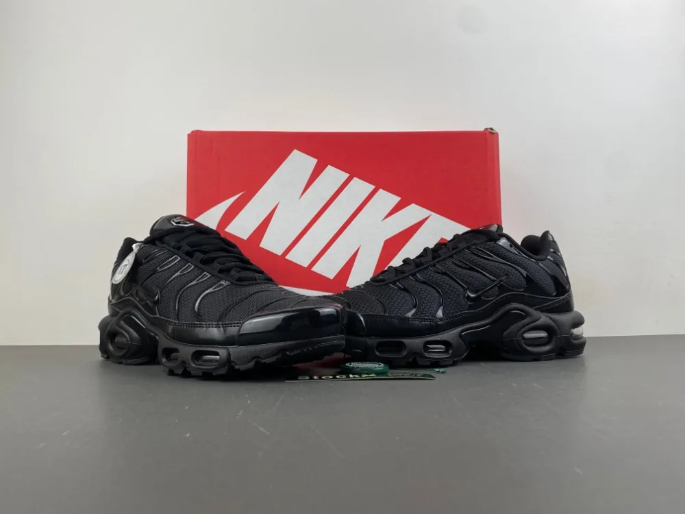 Nike Air Max Plus TN “Triple Black” — photo 5 of 18