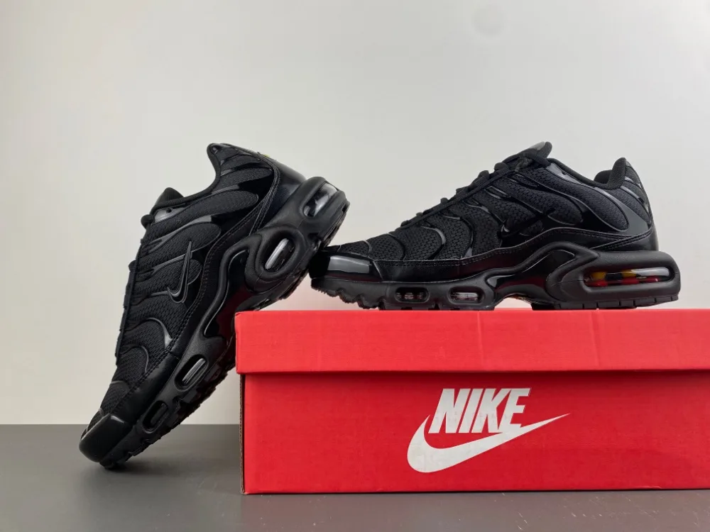 Nike Air Max Plus TN “Triple Black” — photo 6 of 18