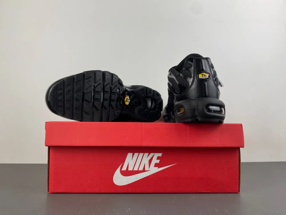 Nike Air Max Plus TN “Triple Black” — photo 8 of 18