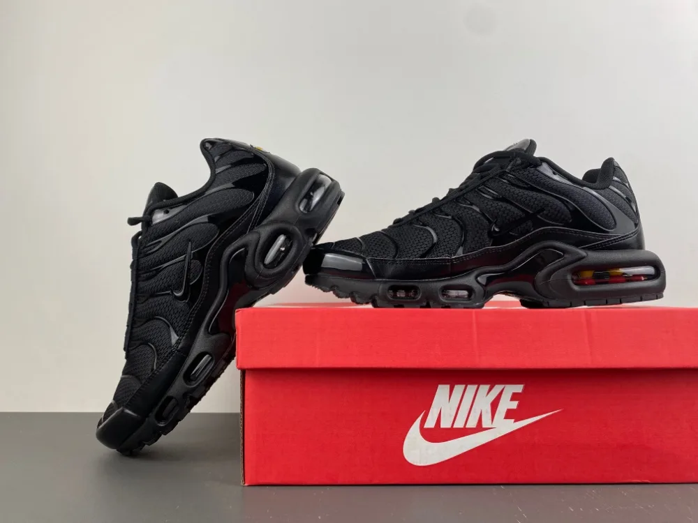 Nike Air Max Plus TN “Triple Black” — photo 9 of 18