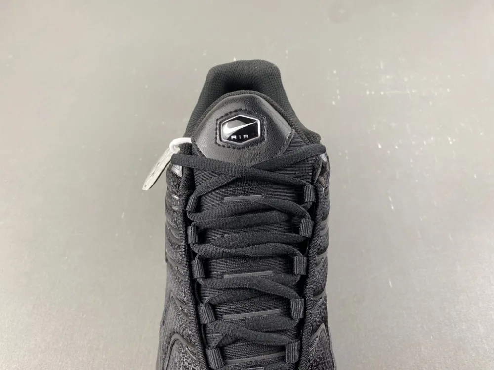 Nike Air Max Plus TN “Triple Black” — photo 15 of 18