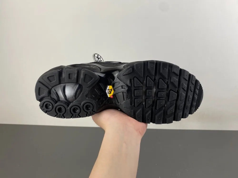 Nike Air Max Plus TN “Triple Black” — photo 16 of 18