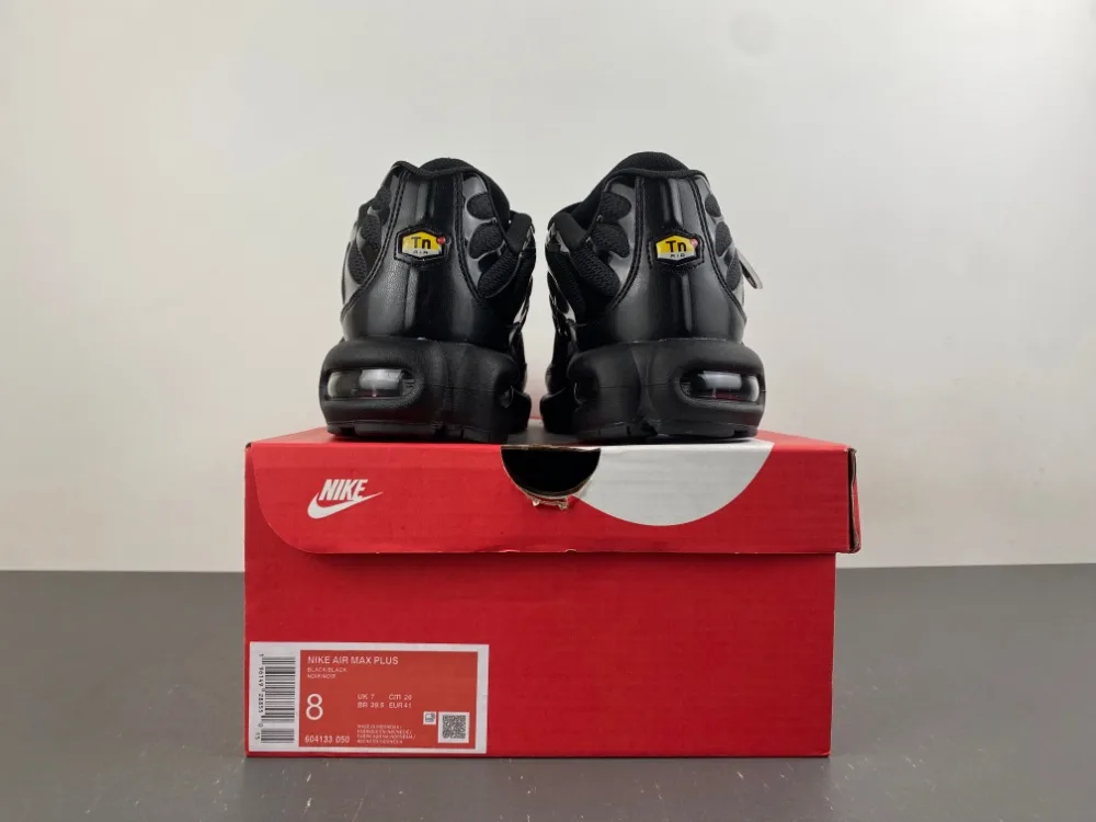 Nike Air Max Plus TN “Triple Black” — photo 18 of 18