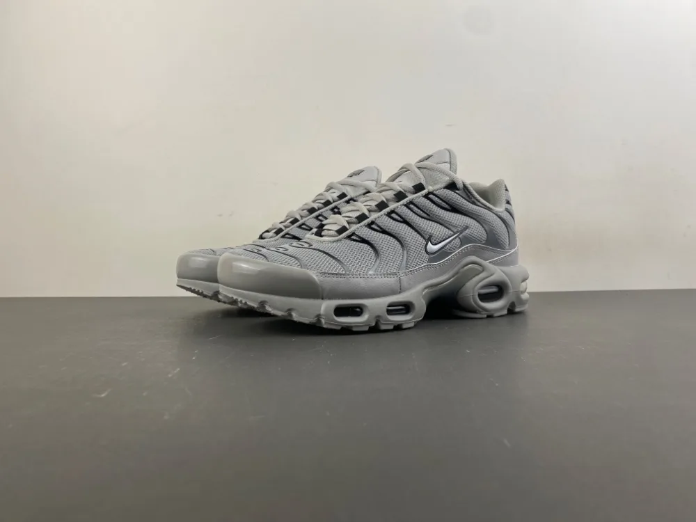 Nike Air Max Plus TN “Wolf Grey” — photo 1 of 17