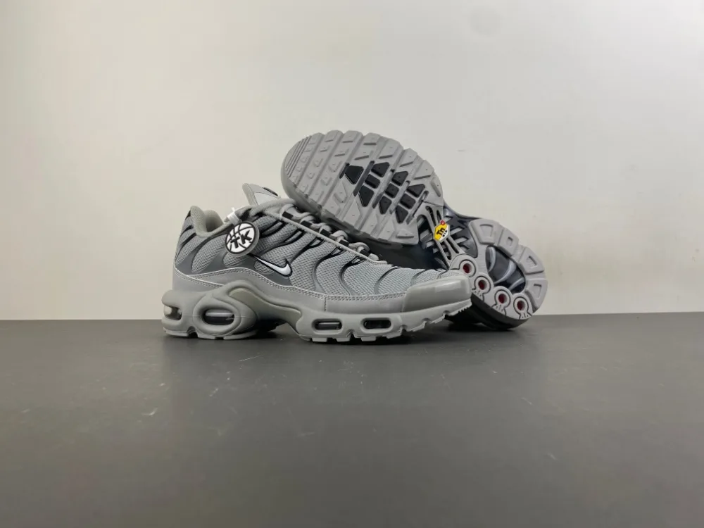 Nike Air Max Plus TN “Wolf Grey” — photo 2 of 17