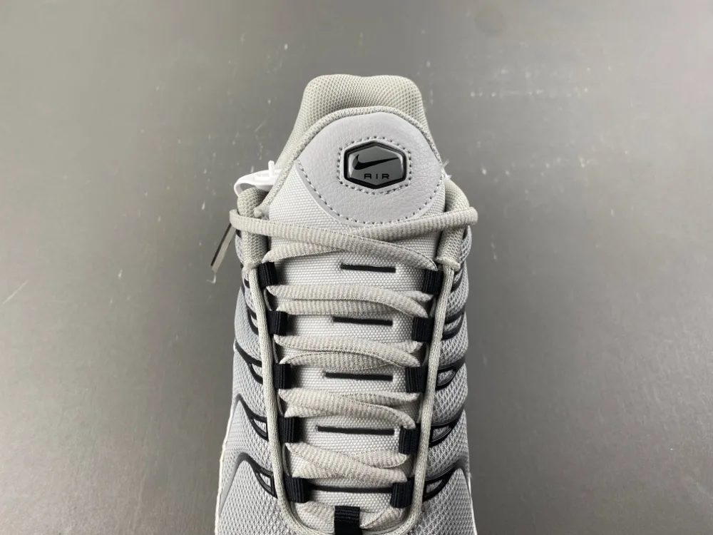 Nike Air Max Plus TN “Wolf Grey” — photo 9 of 17