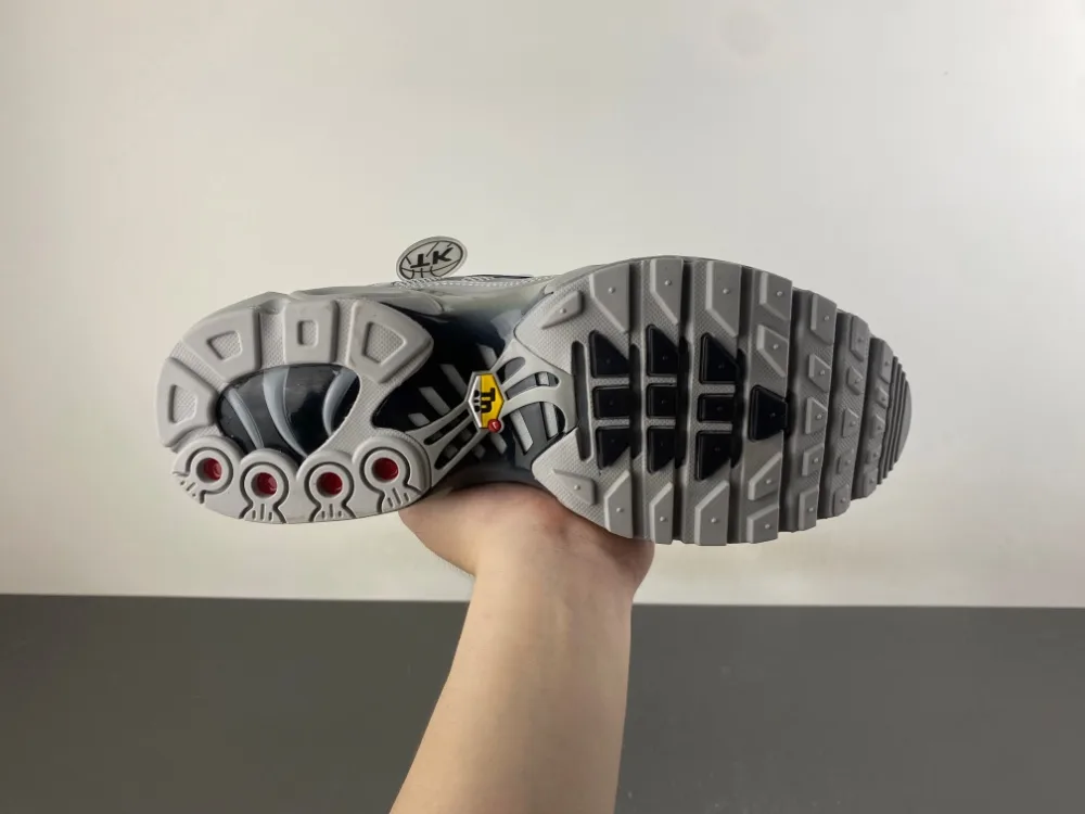 Nike Air Max Plus TN “Wolf Grey” — photo 10 of 17