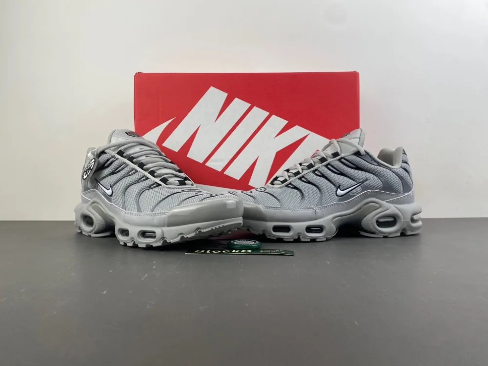 Nike Air Max Plus TN “Wolf Grey” — photo 13 of 17