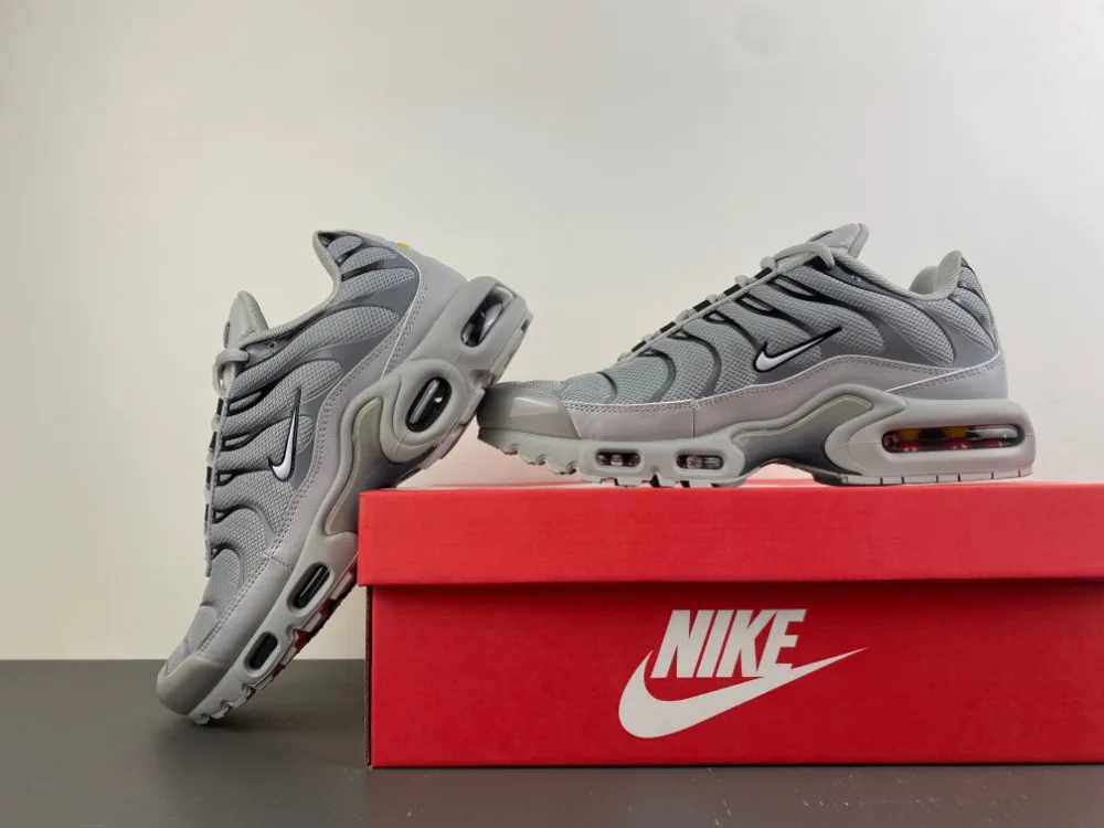 Nike Air Max Plus TN “Wolf Grey” — photo 14 of 17