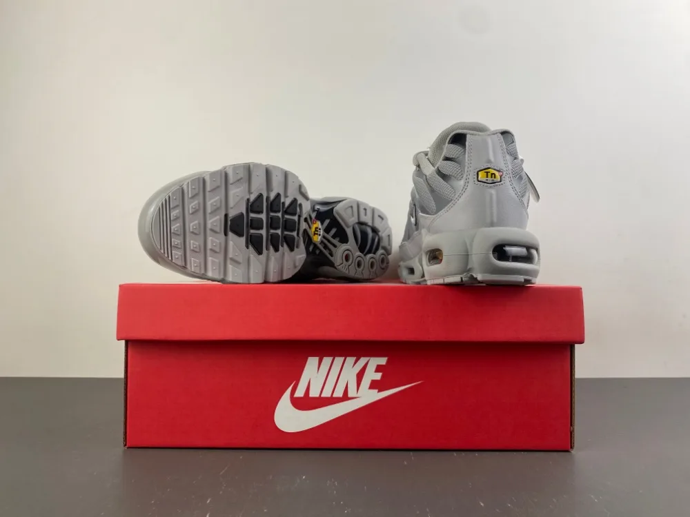 Nike Air Max Plus TN “Wolf Grey” — photo 15 of 17