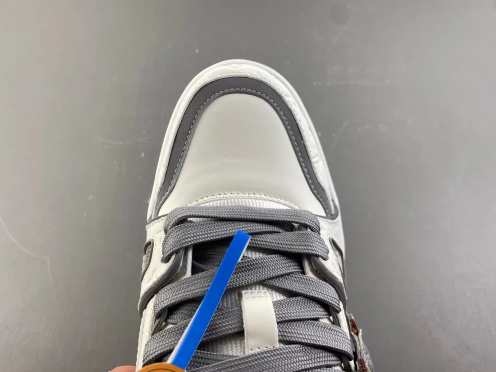 Louis Vuitton Trainer “White Grey Brown” — photo 14 of 17