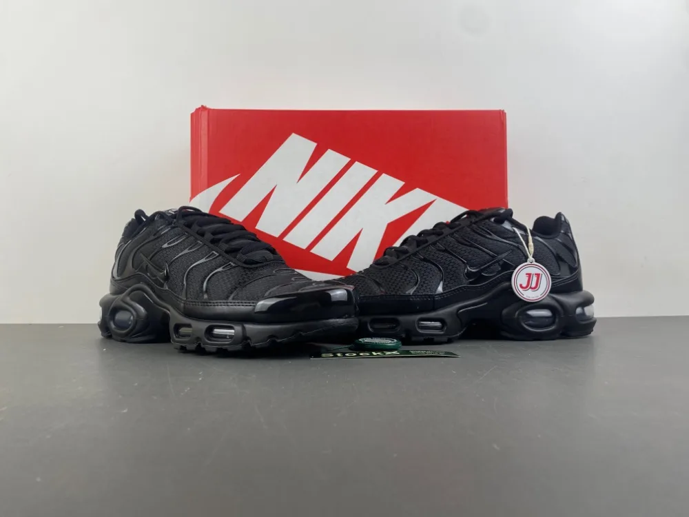 Nike Air Max Plus Low Triple Black “Full Black” — photo 13 of 17