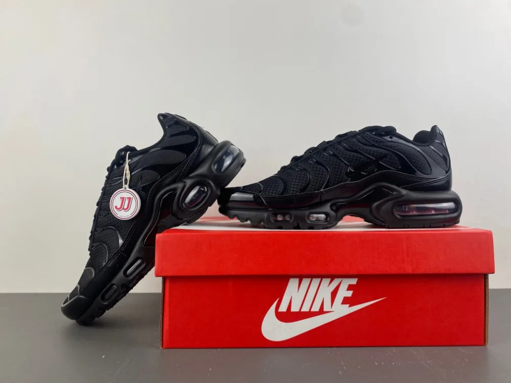 Nike Air Max Plus Low Triple Black “Full Black” — photo 14 of 17