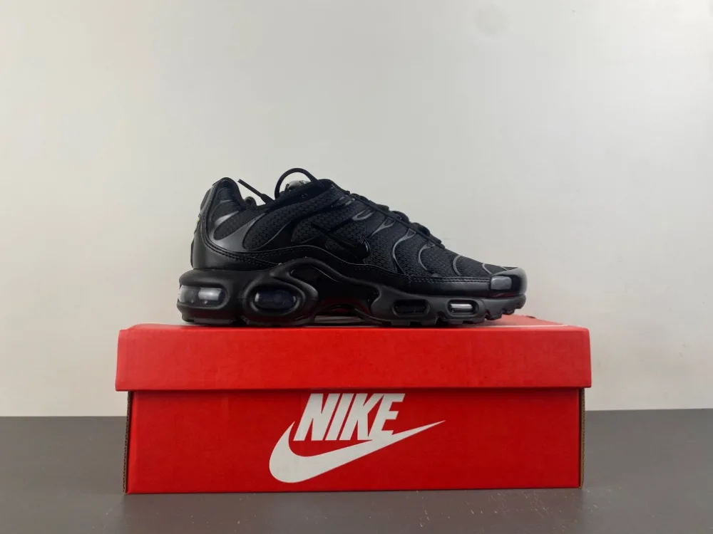Nike Air Max Plus Low Triple Black “Full Black” — photo 16 of 17