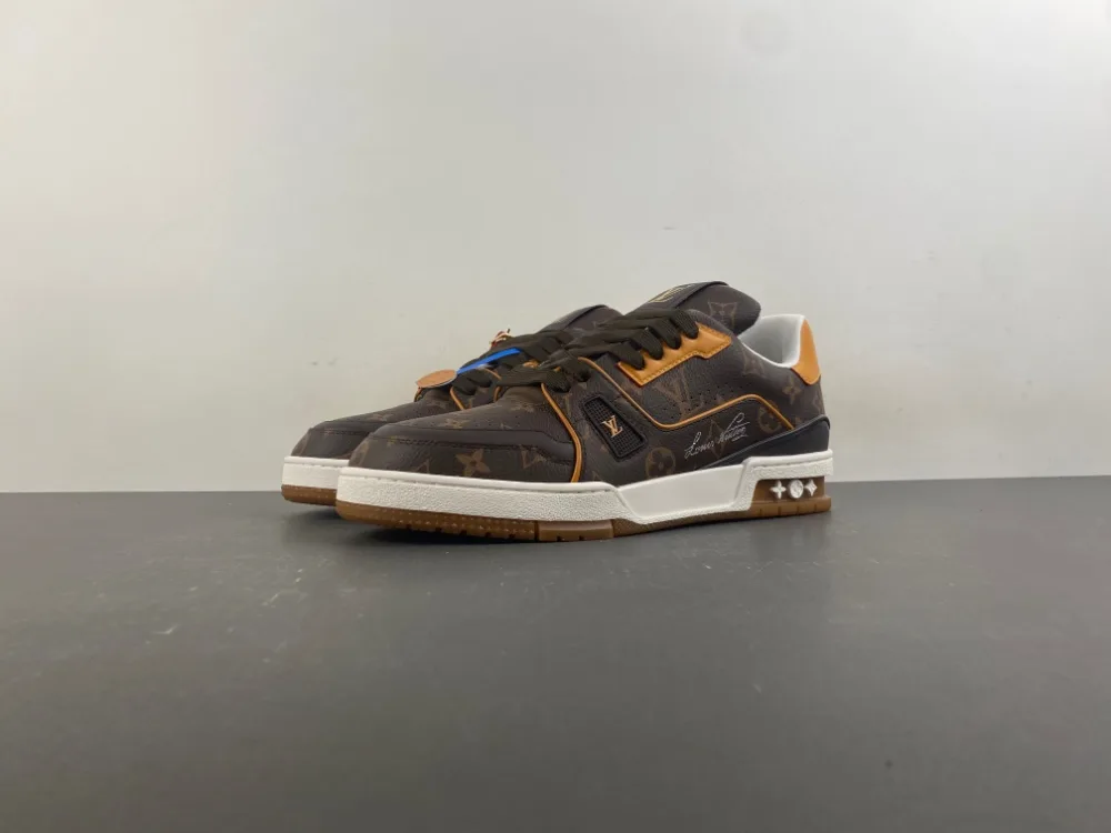Louis Vuitton Trainer “Coffee White” — photo 1 of 17