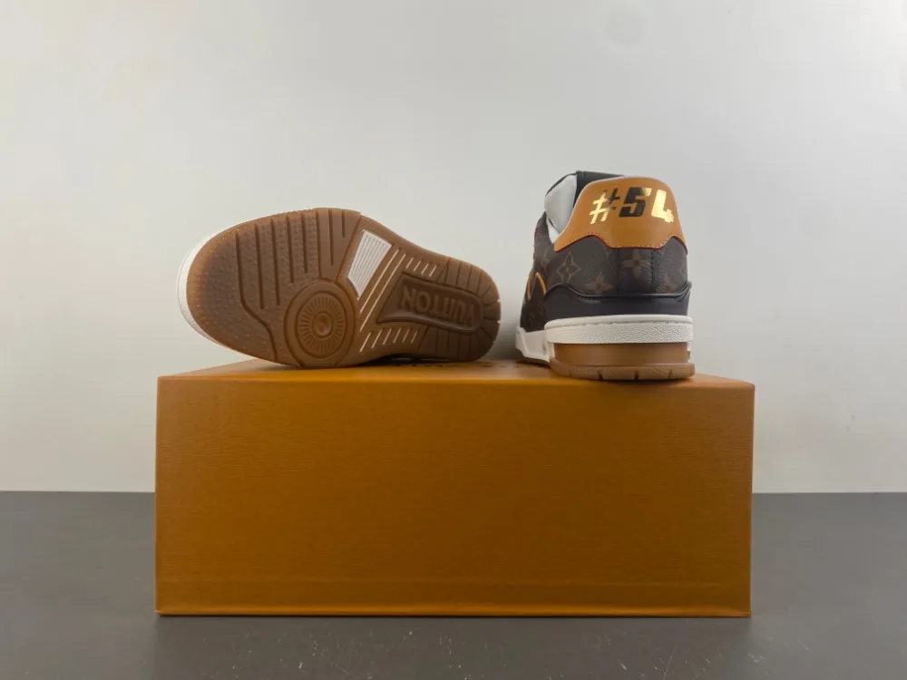 Louis Vuitton Trainer “Coffee White” — photo 15 of 17