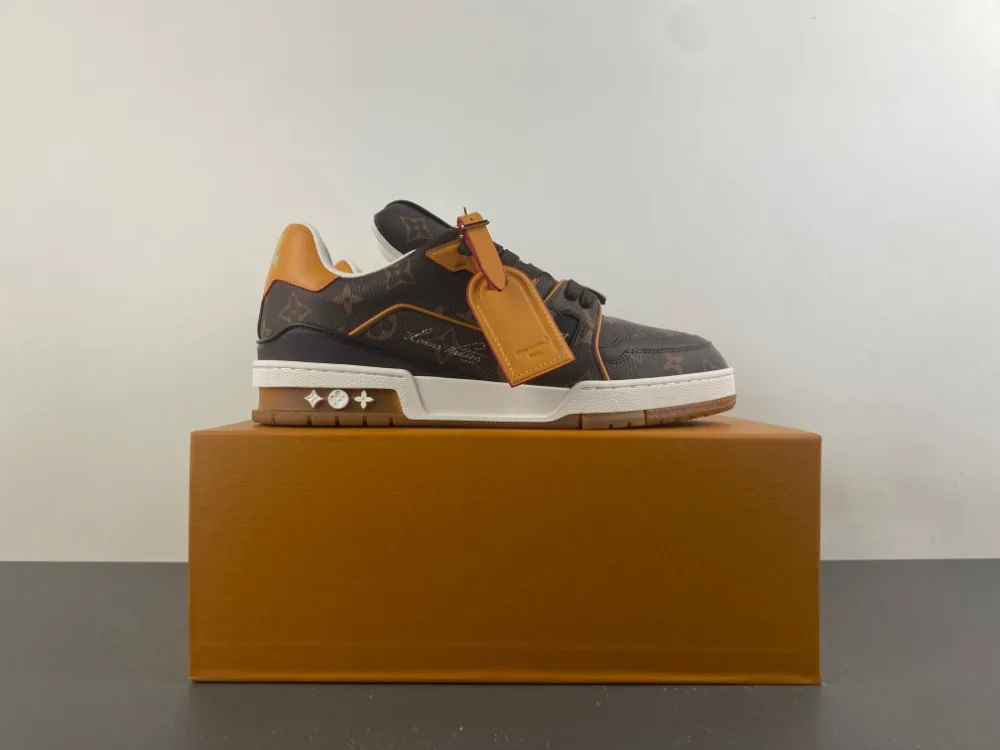 Louis Vuitton Trainer “Coffee White” — photo 16 of 17