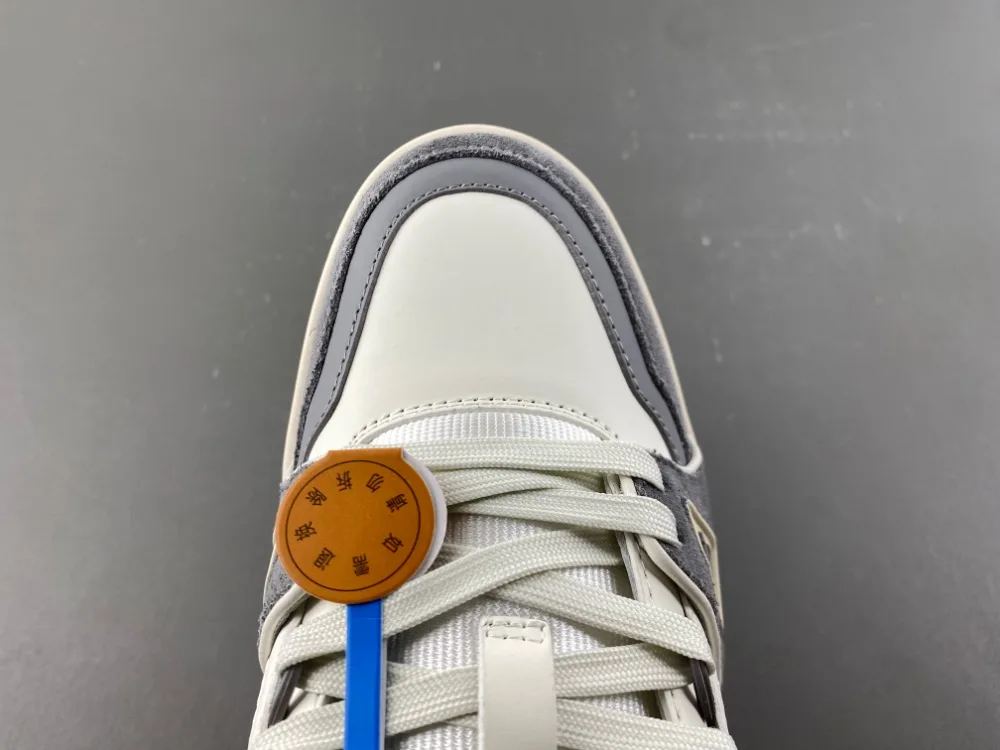 Louis Vuitton Trainer “White Grey” — photo 4 of 17