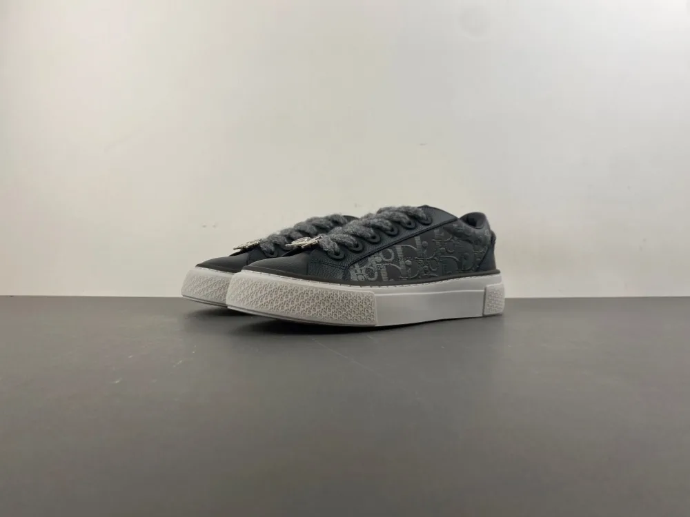 Dior B27 Low Dior Oblique “Grey” — photo 1 of 17