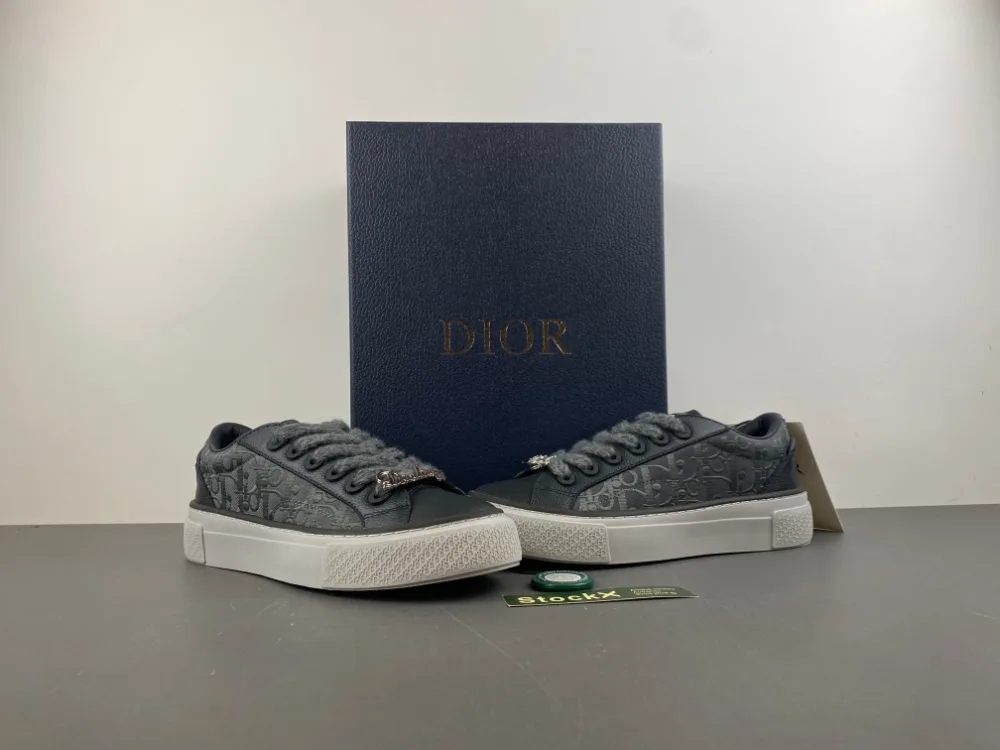 Dior B27 Low Dior Oblique “Grey” — photo 3 of 17