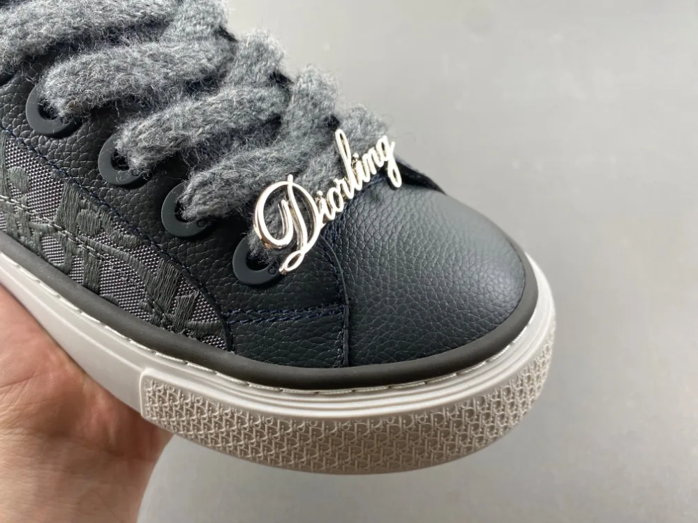 Dior B27 Low Dior Oblique “Grey” — photo 4 of 17
