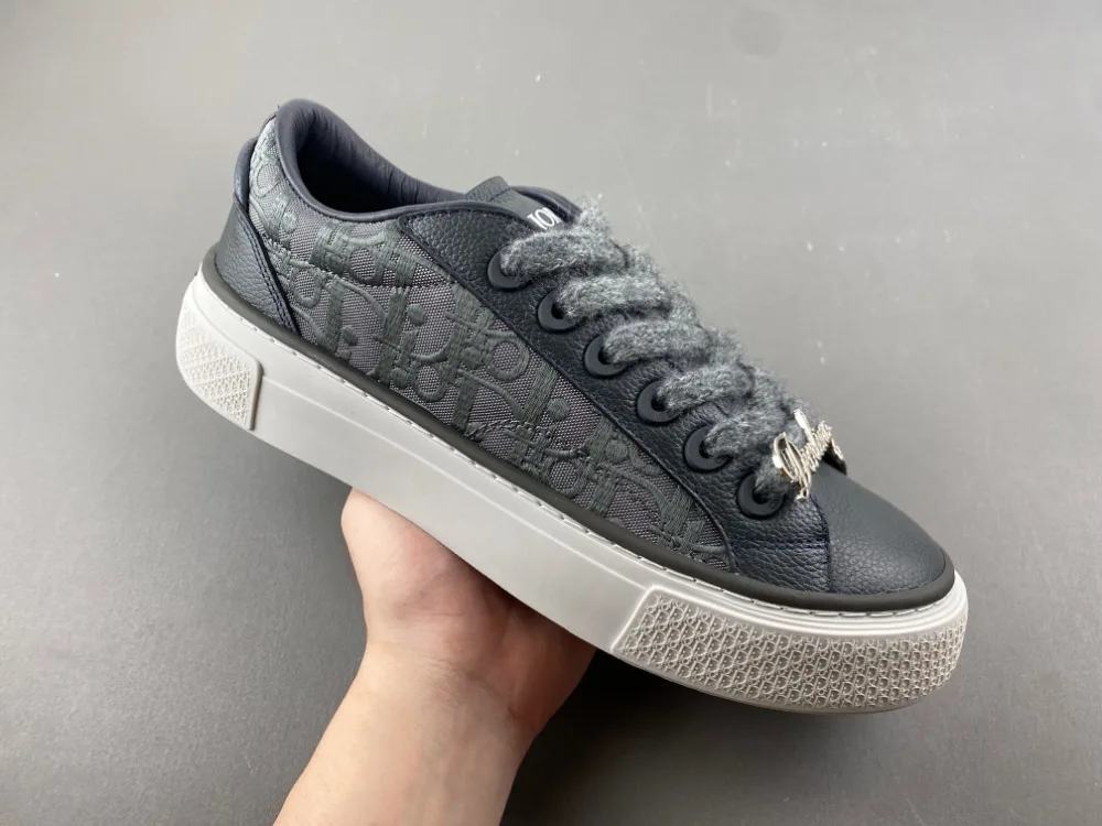Dior B27 Low Dior Oblique “Grey” — photo 5 of 17