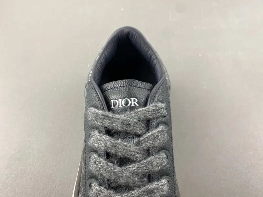 Dior B27 Low Dior Oblique “Grey” — photo 7 of 17
