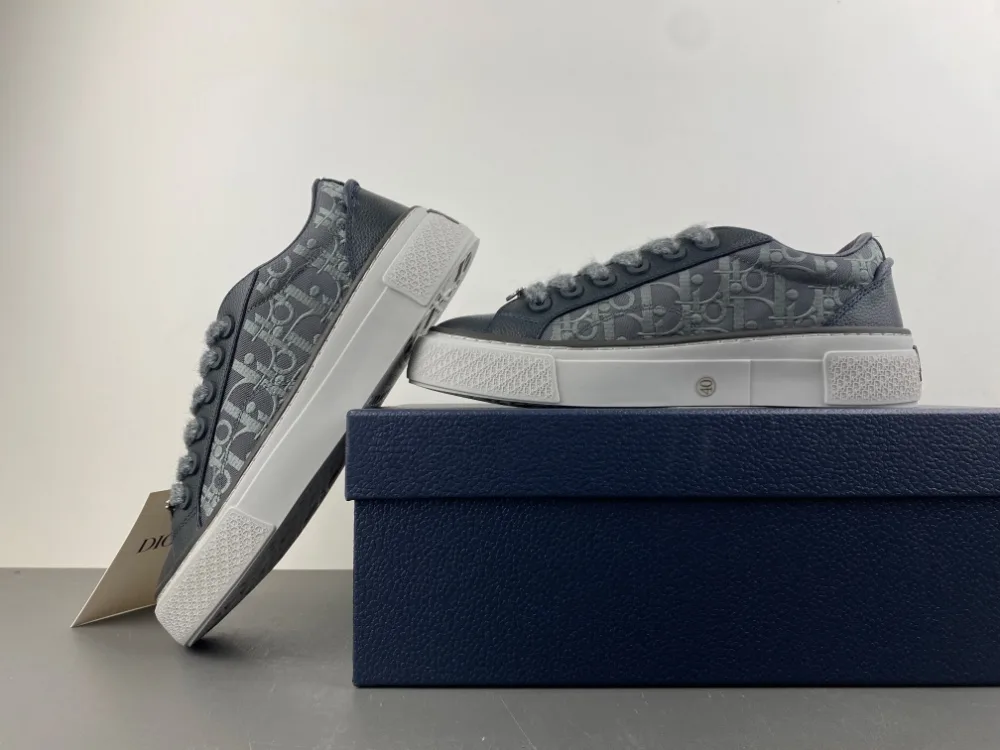 Dior B27 Low Dior Oblique “Grey” — photo 14 of 17