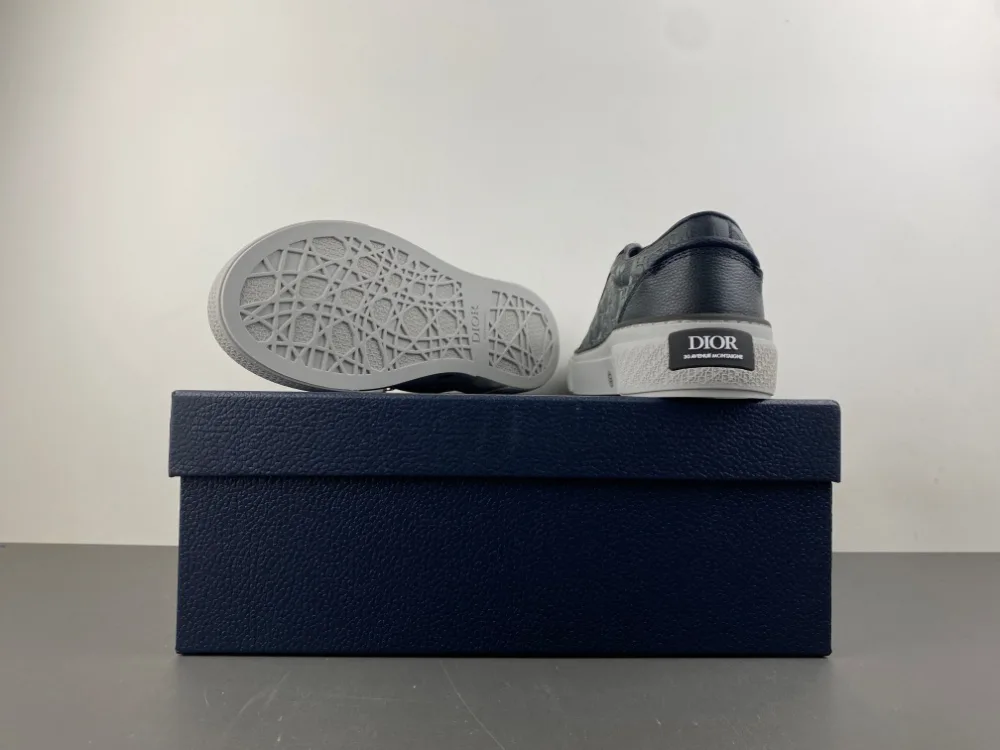 Dior B27 Low Dior Oblique “Grey” — photo 15 of 17
