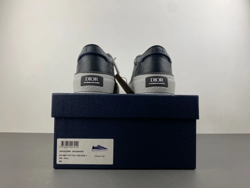 Dior B27 Low Dior Oblique “Grey” — photo 16 of 17