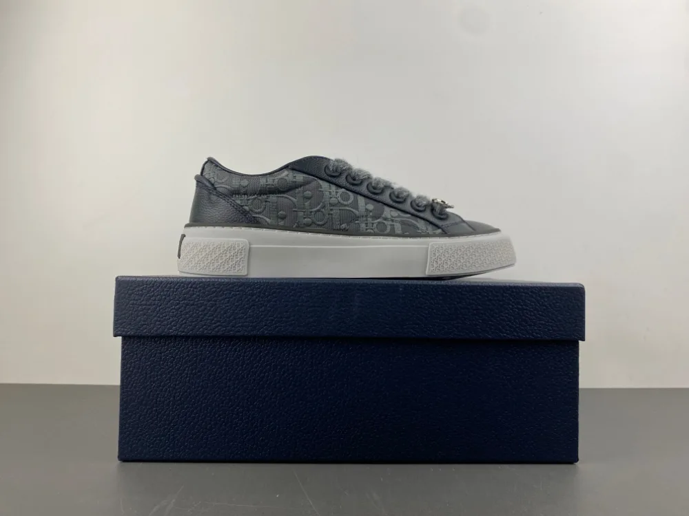 Dior B27 Low Dior Oblique “Grey” — photo 17 of 17