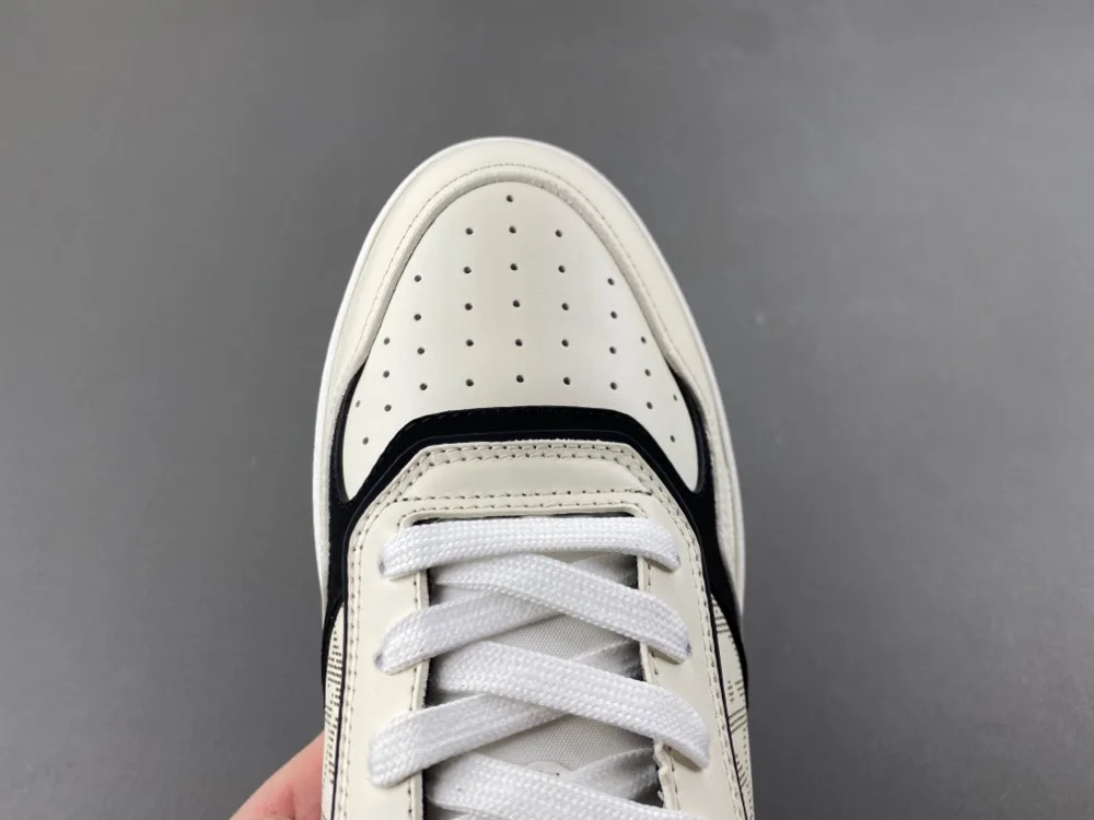 Dior B27 Low Dior Oblique Galaxy “White Black” — photo 10 of 17