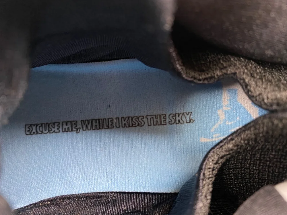 Nike Air Flightposite “Full Black White” — photo 14 of 18